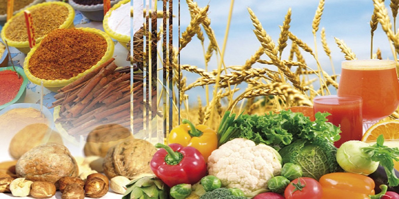 E-Commerce Evolution: Navigating the Digital